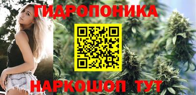 стаф Гусев