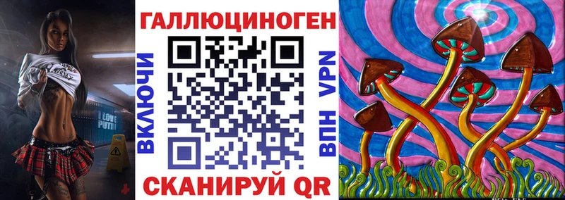 где найти   Пушкино  мега зеркало  Галлюциногенные грибы прущие грибы 
