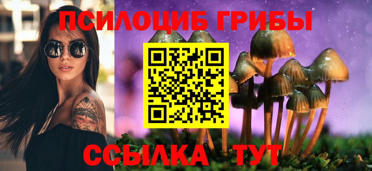 Галлюциногенные грибы Psilocybe Пушкино